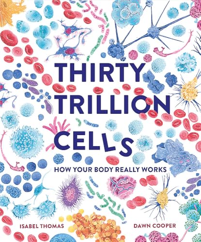 Thirty Trillion Cells: How Your Body Really Works